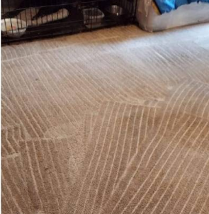 Carpet-after